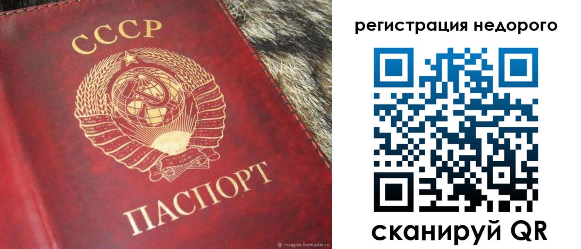 прописка ребенка в Венёве